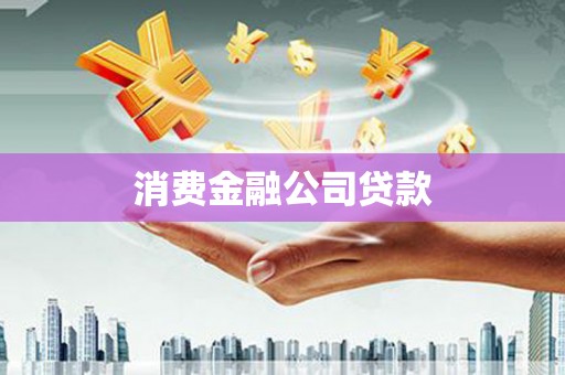 圣安多尼堂区消费金融公司贷款