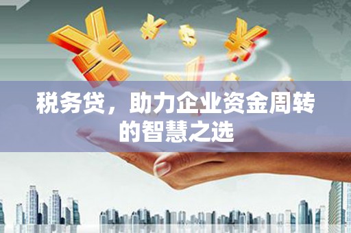 圣安多尼堂区税务贷，助力企业资金周转的智慧之选