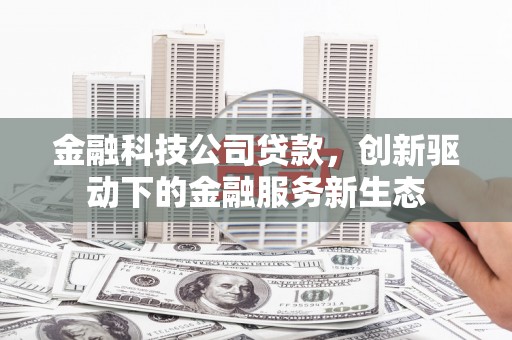圣安多尼堂区金融科技公司贷款，创新驱动下的金融服务新生态
