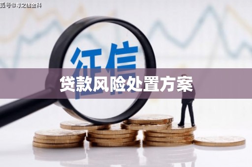 圣安多尼堂区贷款风险处置方案