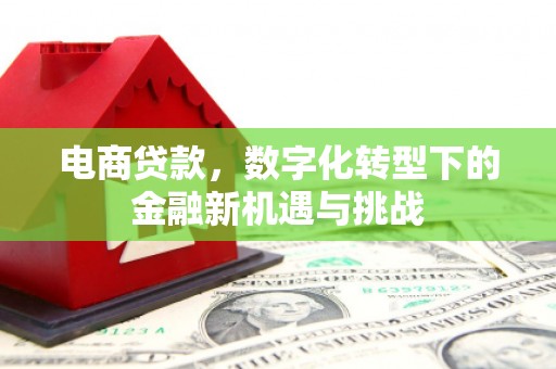 圣安多尼堂区电商贷款，数字化转型下的金融新机遇与挑战