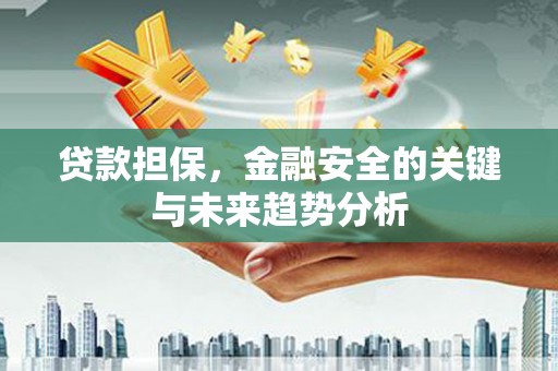 圣安多尼堂区贷款担保，金融安全的关键与未来趋势分析