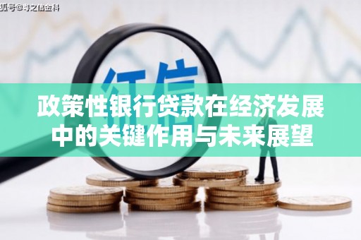 圣安多尼堂区政策性银行贷款在经济发展中的关键作用与未来展望