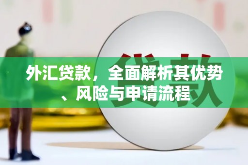 圣安多尼堂区外汇贷款，全面解析其优势、风险与申请流程