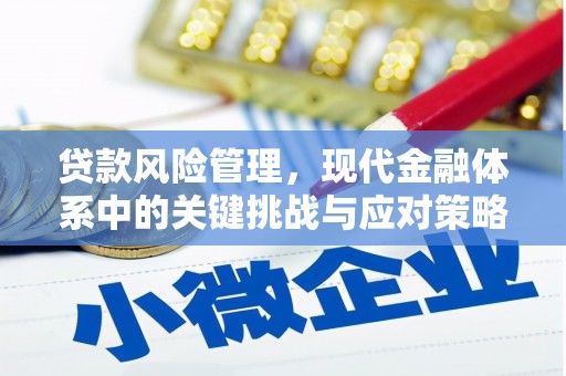 圣安多尼堂区贷款风险管理，现代金融体系中的关键挑战与应对策略