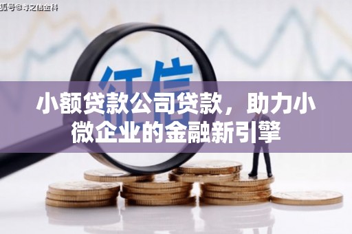 圣安多尼堂区小额贷款公司贷款，助力小微企业的金融新引擎