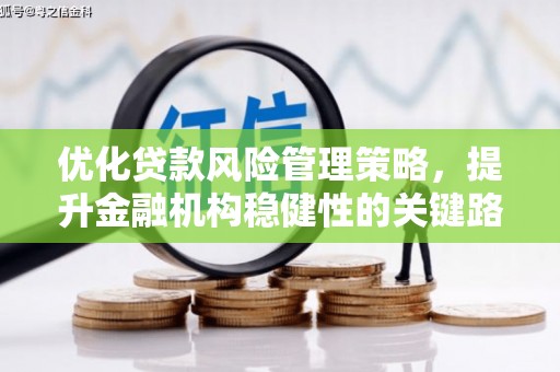 圣安多尼堂区优化贷款风险管理策略，提升金融机构稳健性的关键路径