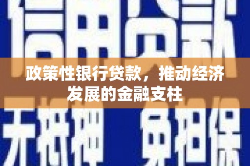 圣安多尼堂区政策性银行贷款，推动经济发展的金融支柱