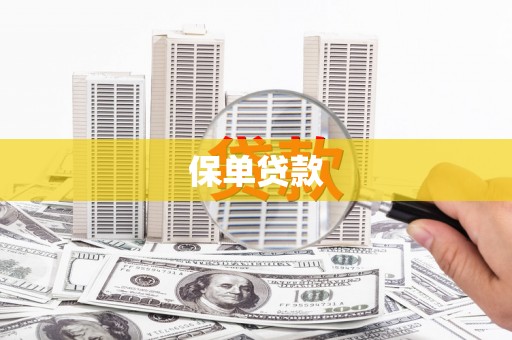圣安多尼堂区保单贷款