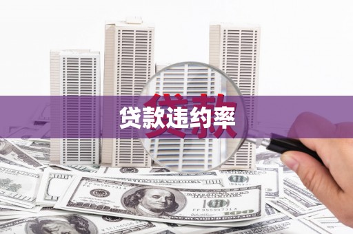 圣安多尼堂区贷款违约率
