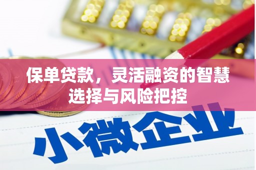圣安多尼堂区保单贷款，灵活融资的智慧选择与风险把控
