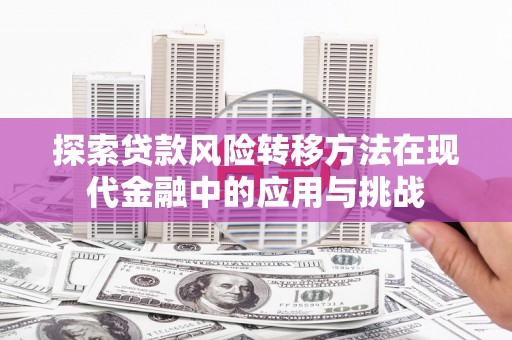 圣安多尼堂区探索贷款风险转移方法在现代金融中的应用与挑战