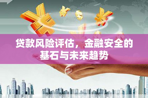 圣安多尼堂区贷款风险评估，金融安全的基石与未来趋势