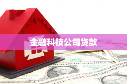 圣安多尼堂区金融科技公司贷款