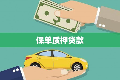 圣安多尼堂区保单质押贷款