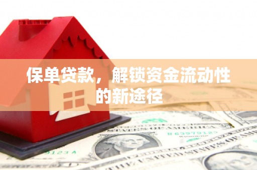 圣安多尼堂区保单贷款，解锁资金流动性的新途径