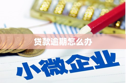圣安多尼堂区贷款逾期怎么办