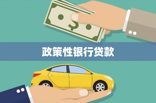 圣安多尼堂区政策性银行贷款