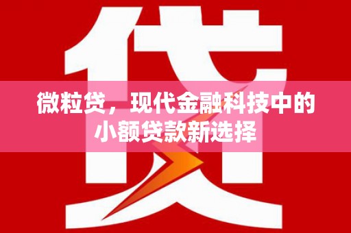 圣安多尼堂区微粒贷，现代金融科技中的小额贷款新选择