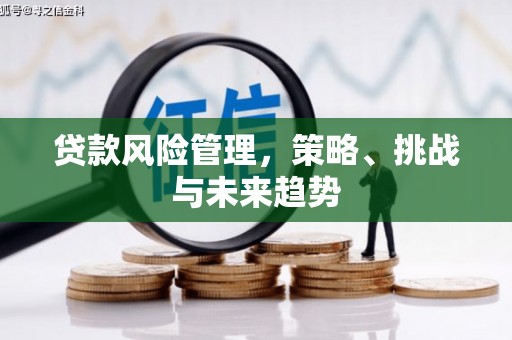圣安多尼堂区贷款风险管理，策略、挑战与未来趋势