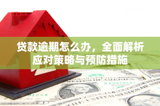 圣安多尼堂区贷款逾期怎么办，全面解析应对策略与预防措施