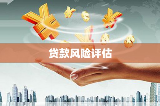 圣安多尼堂区贷款风险评估