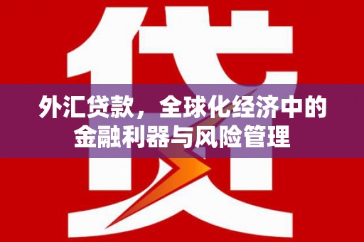 圣安多尼堂区外汇贷款，全球化经济中的金融利器与风险管理