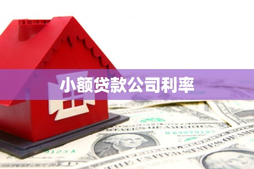 圣安多尼堂区小额贷款公司利率