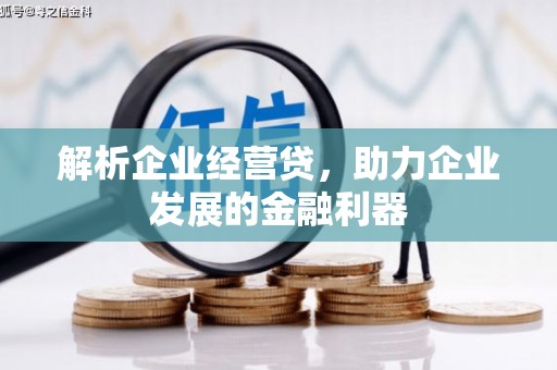 圣安多尼堂区解析企业经营贷，助力企业发展的金融利器