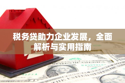圣安多尼堂区税务贷助力企业发展，全面解析与实用指南