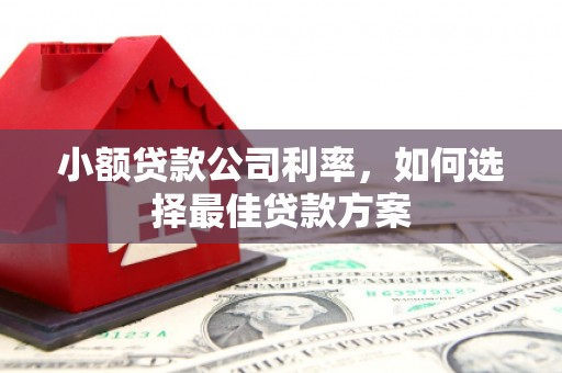 圣安多尼堂区小额贷款公司利率，如何选择最佳贷款方案