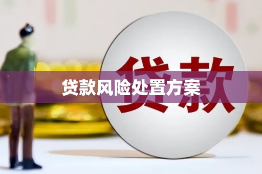 圣安多尼堂区贷款风险处置方案