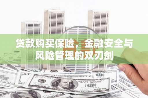 圣安多尼堂区贷款购买保险，金融安全与风险管理的双刃剑