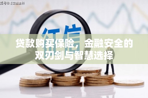 圣安多尼堂区贷款购买保险，金融安全的双刃剑与智慧选择