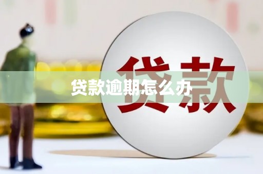 圣安多尼堂区贷款逾期怎么办
