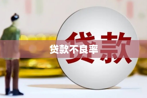圣安多尼堂区贷款不良率