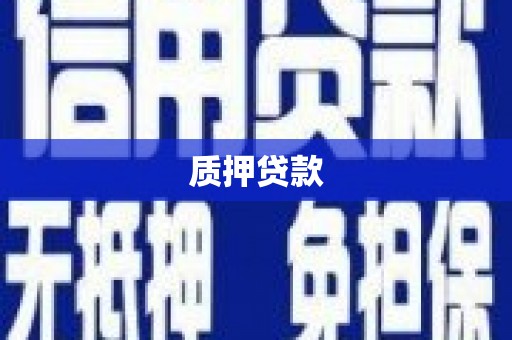圣安多尼堂区质押贷款