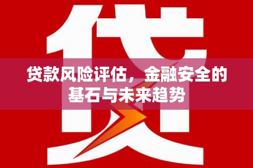 圣安多尼堂区贷款风险评估，金融安全的基石与未来趋势