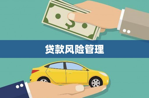 圣安多尼堂区贷款风险管理