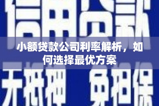 圣安多尼堂区小额贷款公司利率解析，如何选择最优方案