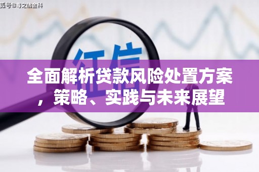 圣安多尼堂区全面解析贷款风险处置方案，策略、实践与未来展望