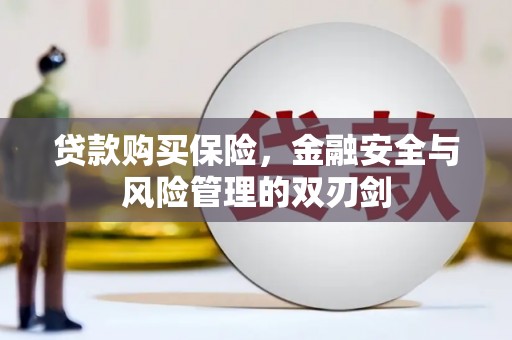 圣安多尼堂区贷款购买保险，金融安全与风险管理的双刃剑