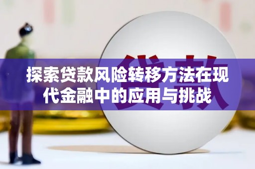 圣安多尼堂区探索贷款风险转移方法在现代金融中的应用与挑战