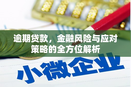 圣安多尼堂区逾期贷款，金融风险与应对策略的全方位解析