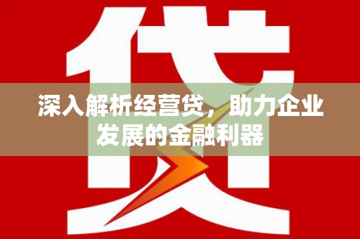 圣安多尼堂区深入解析经营贷，助力企业发展的金融利器