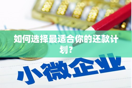 圣安多尼堂区如何选择最适合你的还款计划？