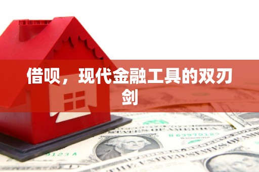 圣安多尼堂区借呗，现代金融工具的双刃剑