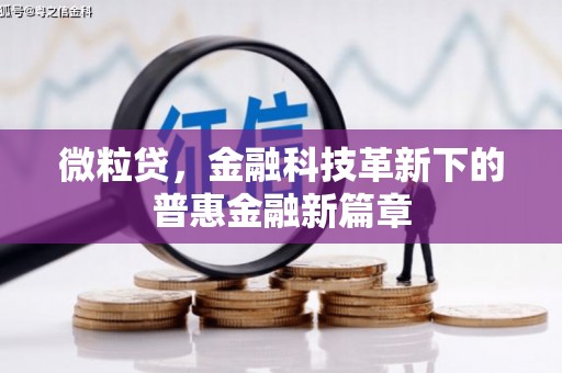 圣安多尼堂区微粒贷，金融科技革新下的普惠金融新篇章