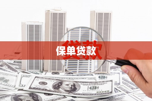 圣安多尼堂区保单贷款