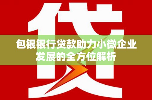 圣安多尼堂区包银银行贷款助力小微企业发展的全方位解析